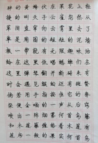 图示, 示意图
中度可信度描述已自动生成:ver1